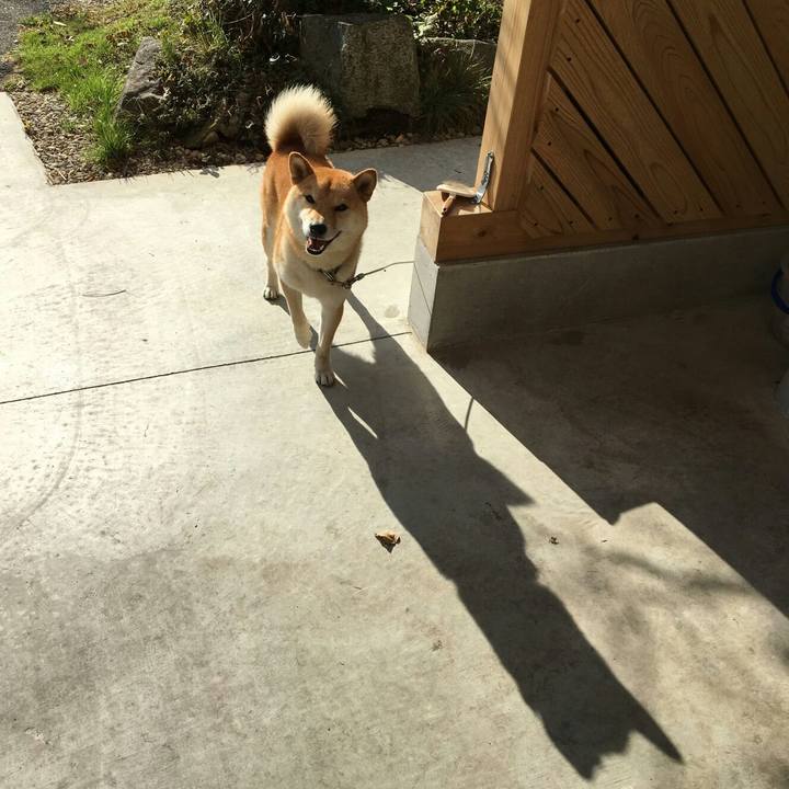 9c115a89 f4ad 42f8 a4c3 3809c2eece00