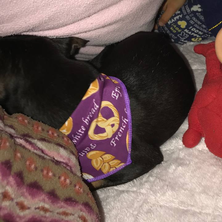 9c117a42 4369 4875 8e92 2f7bf6269e18