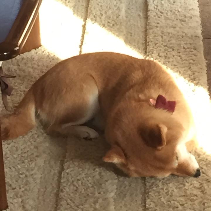 9c117af1 e7a5 4bbe 8463 c490eb35e8a2