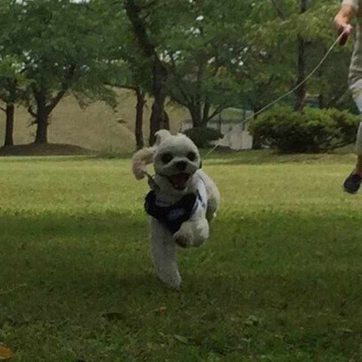 9c11bd97 679c 4dc1 bcf3 85f18f08ef50