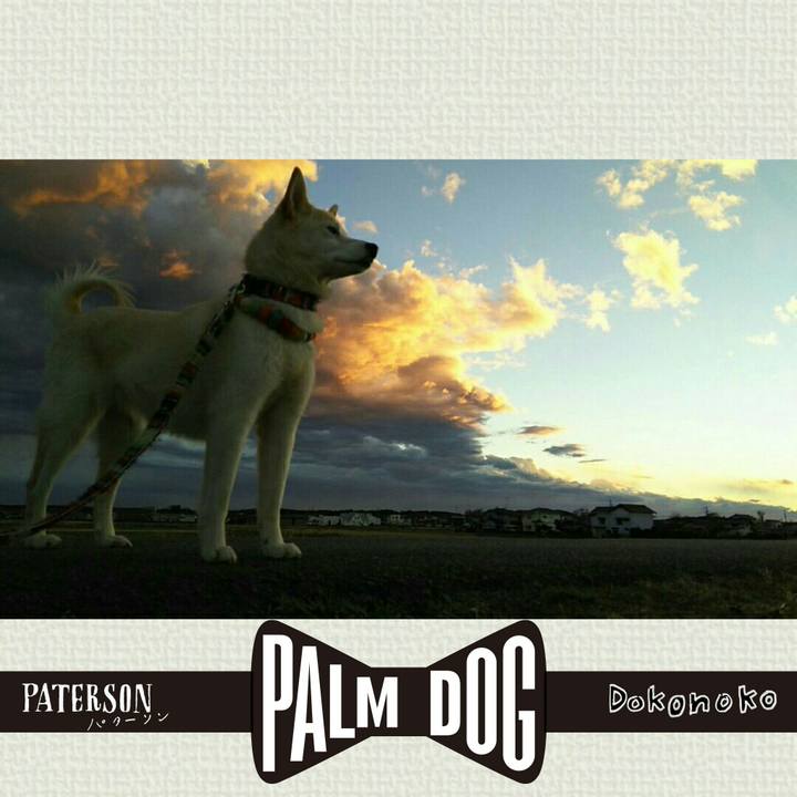 9c1235fc a566 4573 b01d 5833ee2d4582