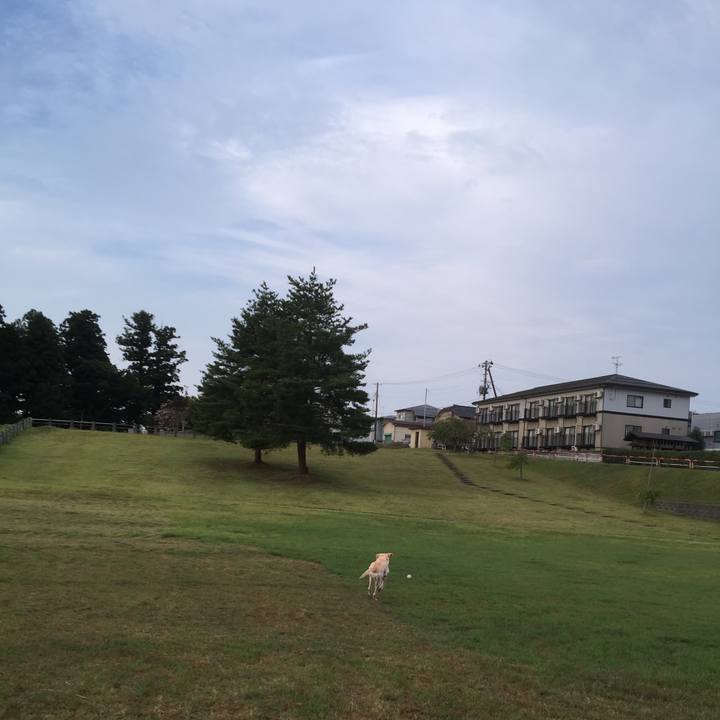 9c123612 e996 460c 8e1b 94c4404ec169