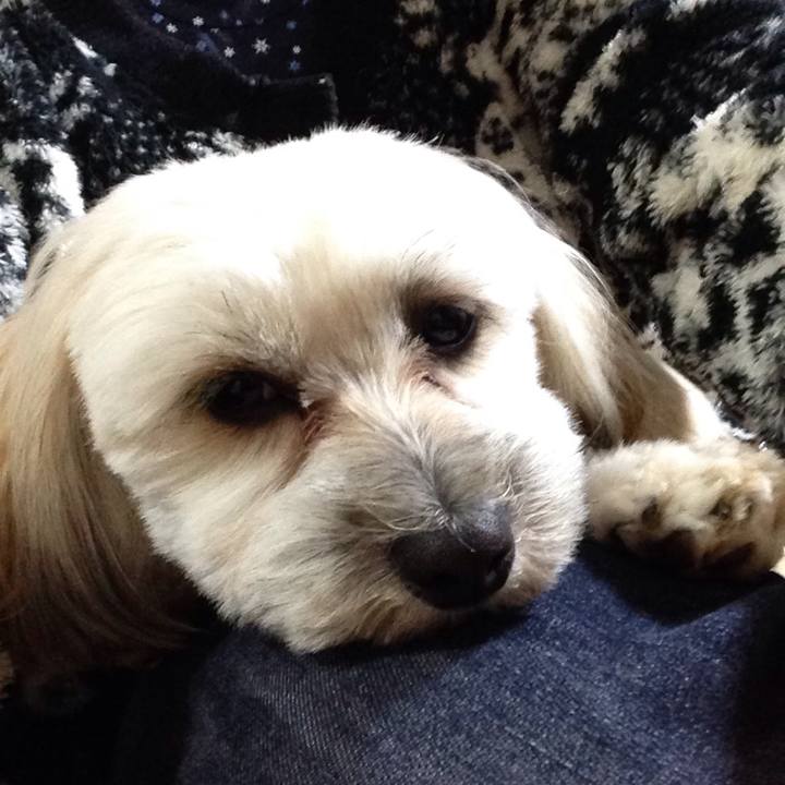 9c1270da 0c89 4f51 8b2d 1186036abbfe