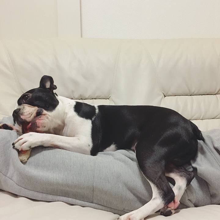 9c129090 d055 4ae5 8f44 a37f12bbe4b1