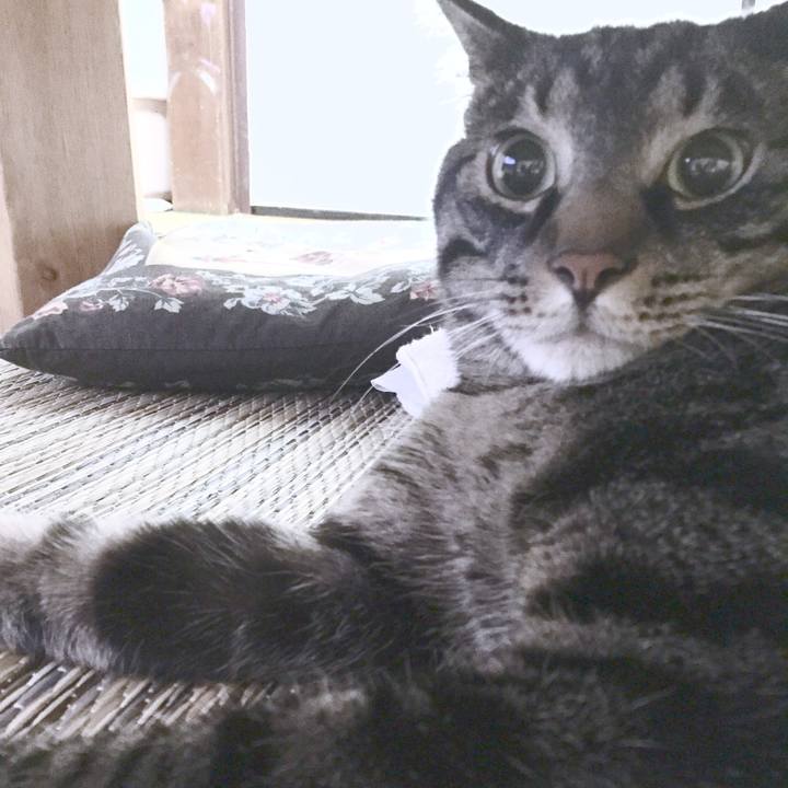 9c12bec8 10c5 4a21 a22f 41d28adfce03