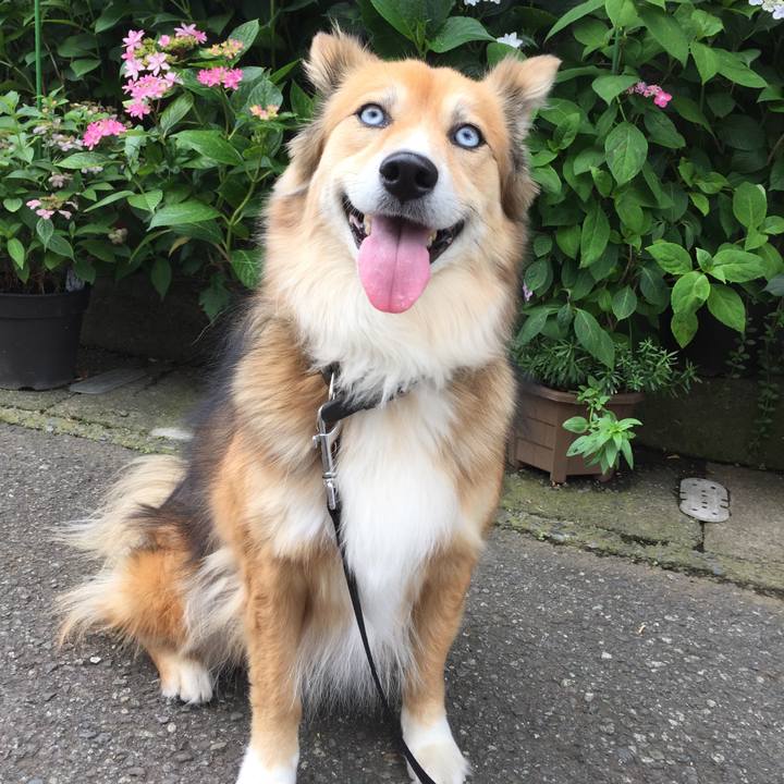 9c1327b7 06e6 4ca8 8807 a48c172570d0