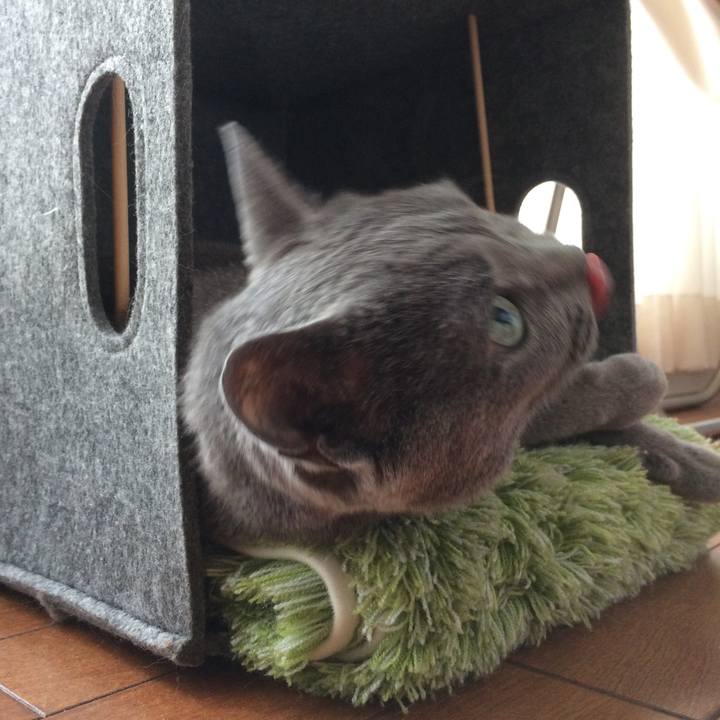 9c136f21 bcbe 4662 b90e 6bfd6c421b34