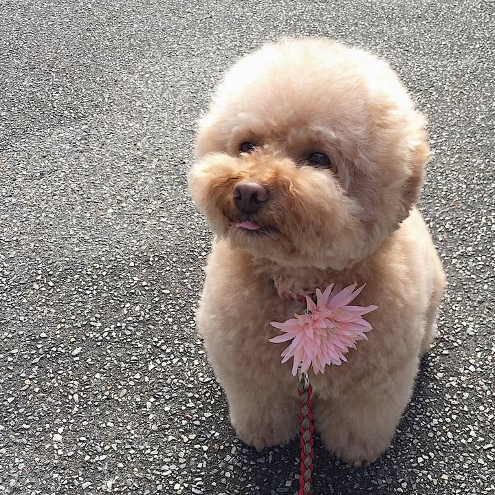 9c1372d5 4d93 455d 98e7 8f50b0b5c2da