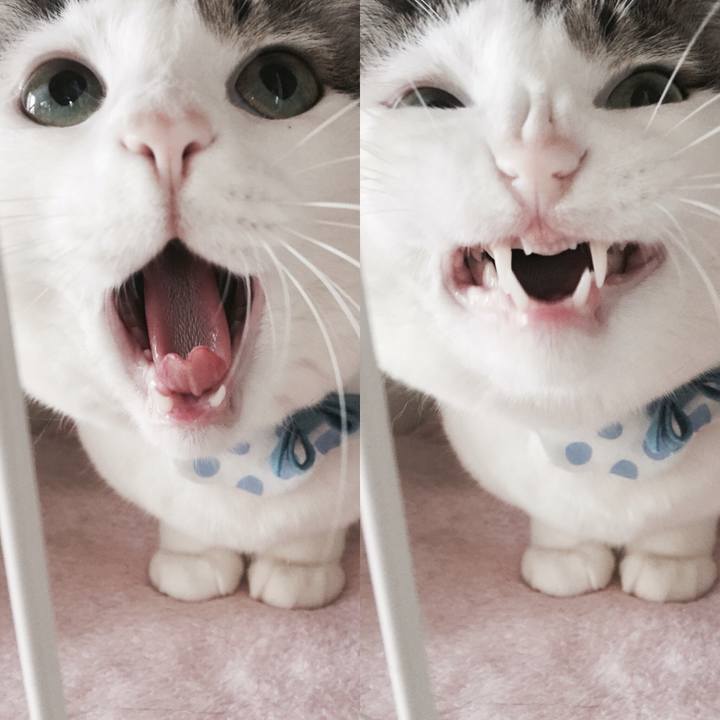 9c13dff0 7ebb 4460 b63c 293dcb4ba863