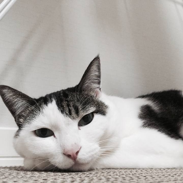 9c142634 d955 4434 9424 c68069077e28