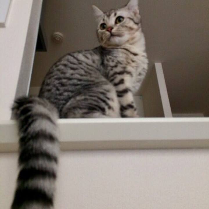 9c1471f2 0eb6 40e0 a589 495fe10148fb