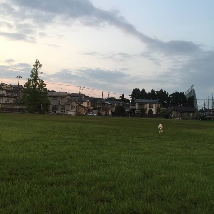 9c147ee5 c9fe 4a62 bf8c ee7b2203be53