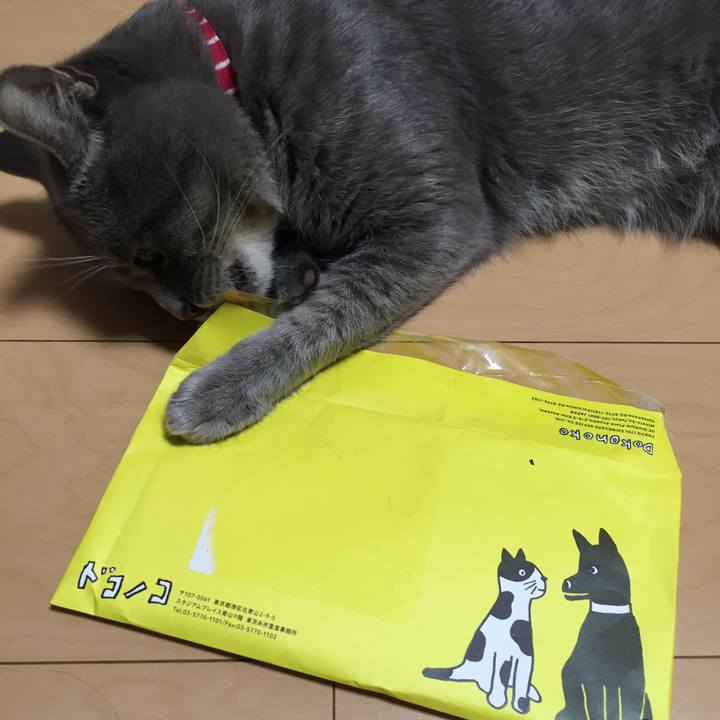 9c14a5e8 1c3b 46a9 9941 1eda46317d07