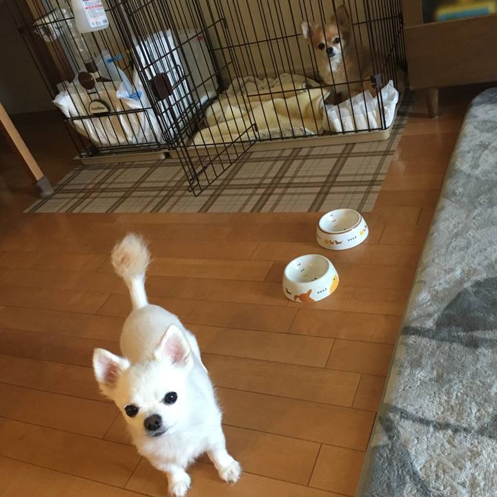 9c14b28f 00f8 4cf0 93ef 606884174d2c