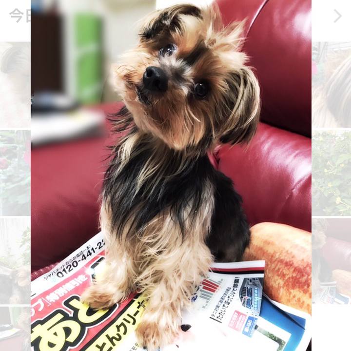 9c1514ad 444b 4908 ab72 10c175e034e9