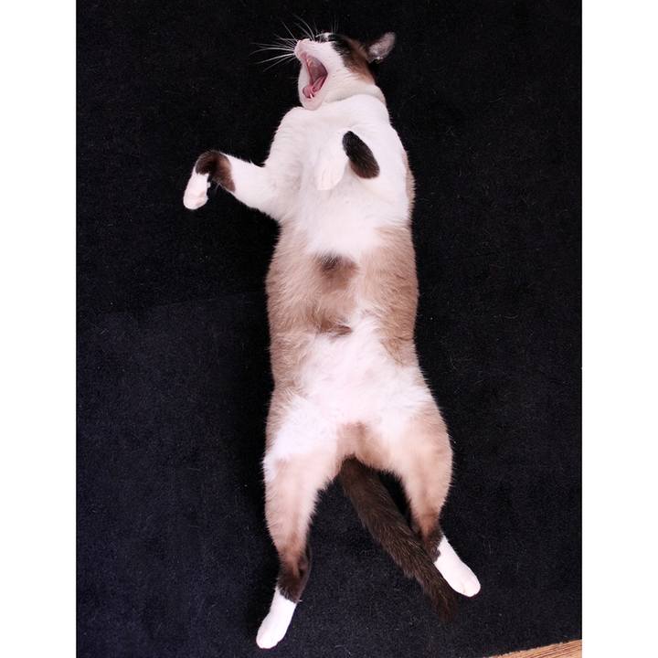 9c153b02 132a 4fb9 b602 acccc52995d8