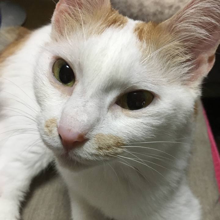 9c15567b d9fe 441b 92e8 bf01858fbc23