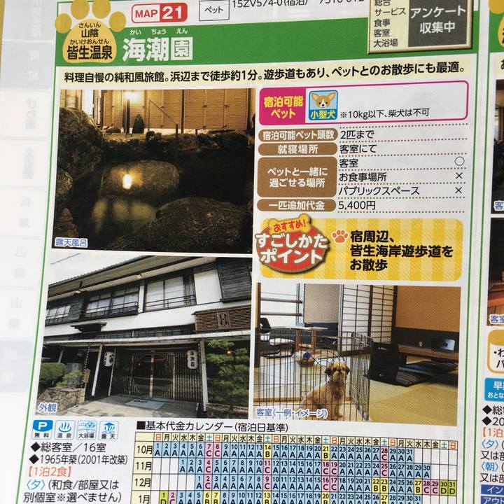 9c156107 1fa4 41bd 8190 36cc172b00ce