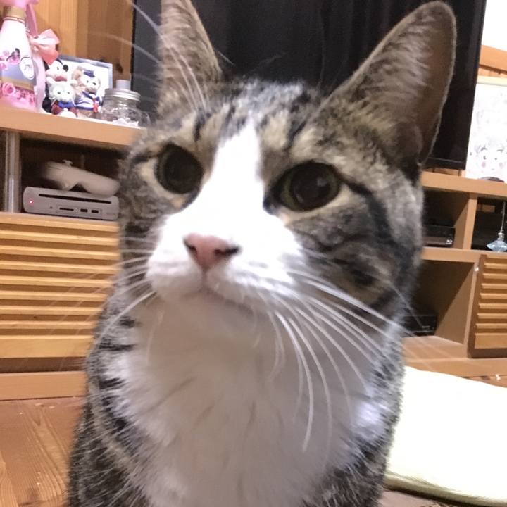 9c15699c 9ba4 4250 99a6 9c212da5ba50