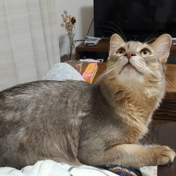 9c1631c8 4105 4b3e 8850 c0ad1326dd63