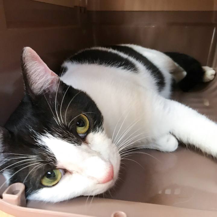 9c16678a 75fa 43c1 b3e1 8ef2378dd283