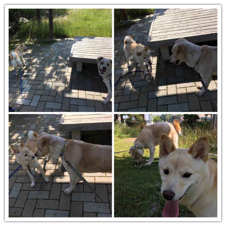 9c169a81 05b5 4012 aeb3 e9cbadd27d62