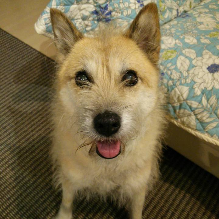 9c169f47 7004 4dd8 9f67 c523b3078dd6