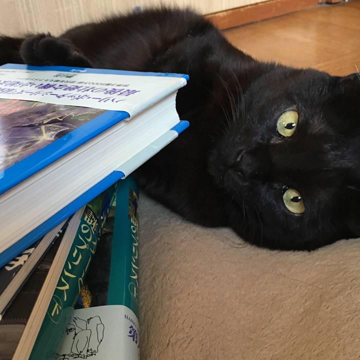 9c16c137 b5d9 4c7c 9e04 bd27f0fd7643