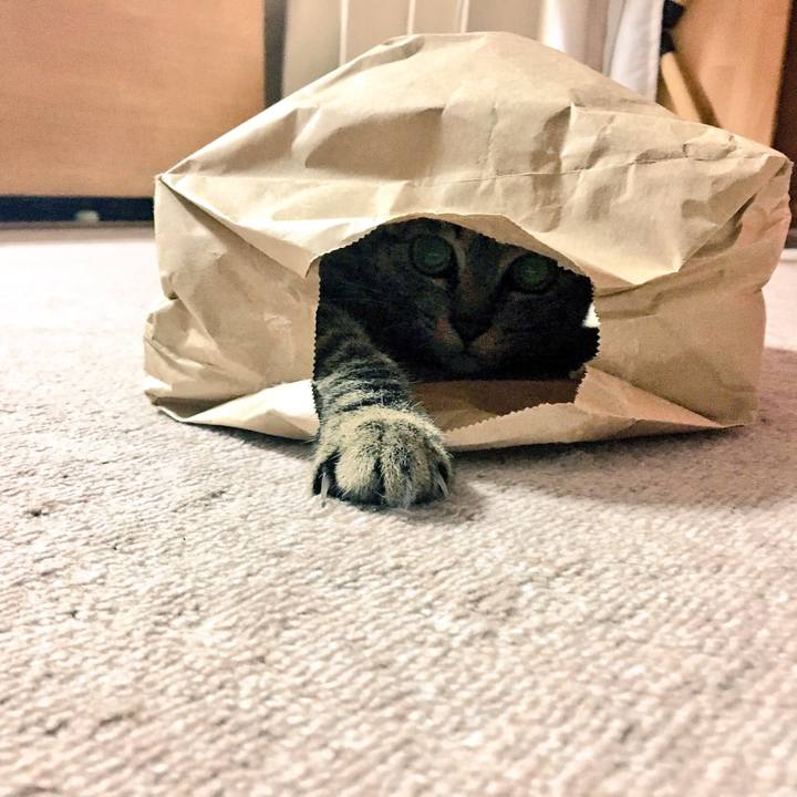 9c17439e b3b1 4d28 bac8 749f9a368d8d