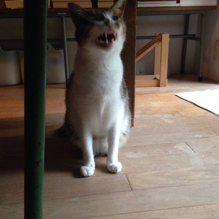 9c17b014 4b6d 46c8 b218 6593df28192c