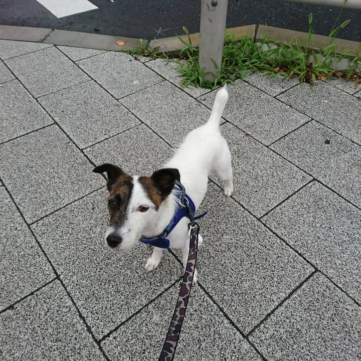 9c1900e9 bf28 44a7 a237 04538dcefd24