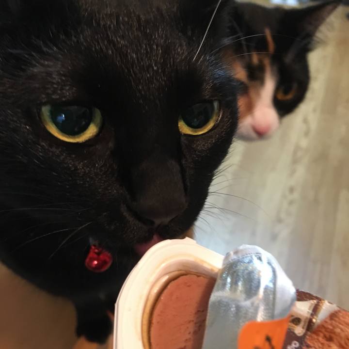 9c19bdd2 2c14 413a 868d 60350a08db02