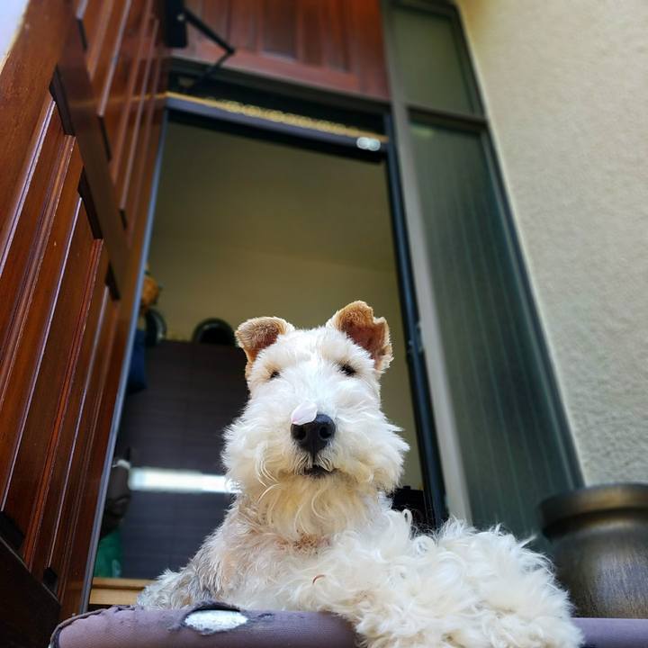 9c1a3842 1538 4108 b927 219c62e16ad7