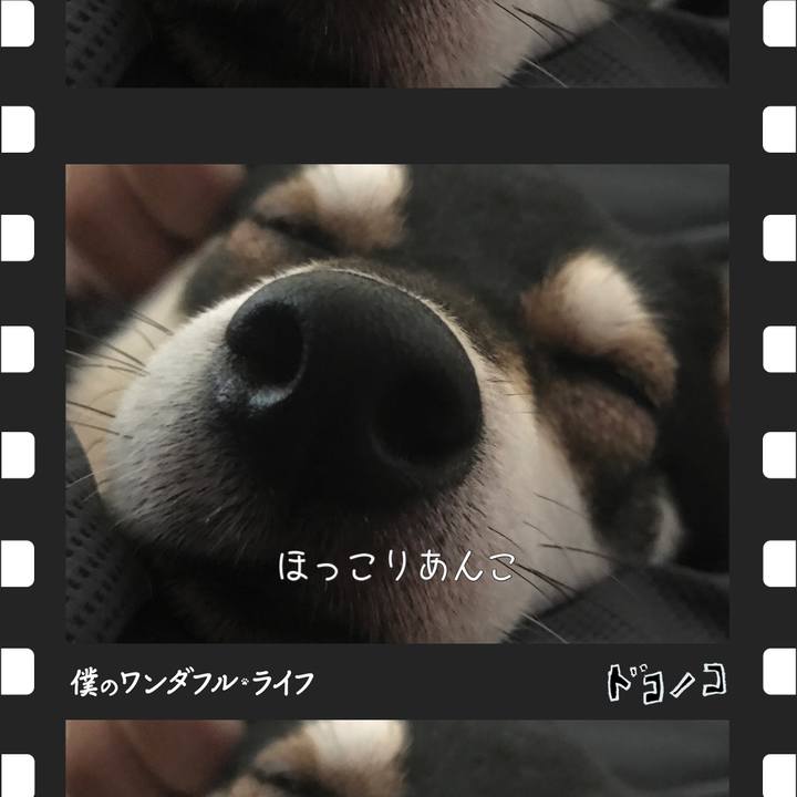 9c1a4a29 e323 4e59 95b4 e27ca9884d59