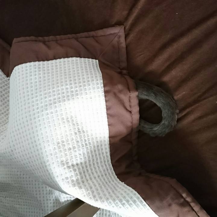 9c1a9f13 76f2 4790 85cf 06fc8bb90388