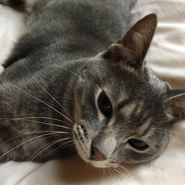 9c1b1541 bc37 4338 a572 b2abc936c944