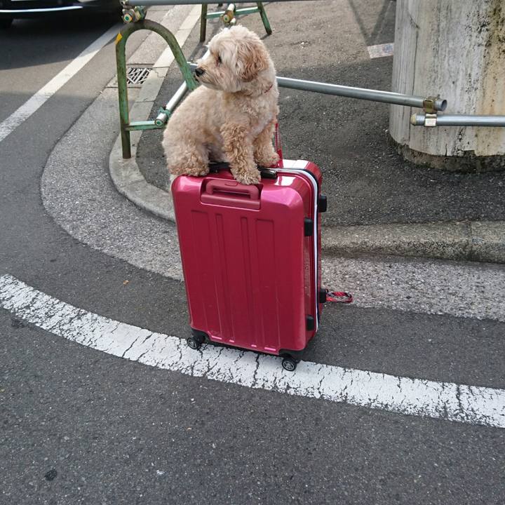 9c1b2a29 927e 48ee ac38 36ba0ac8c5c5