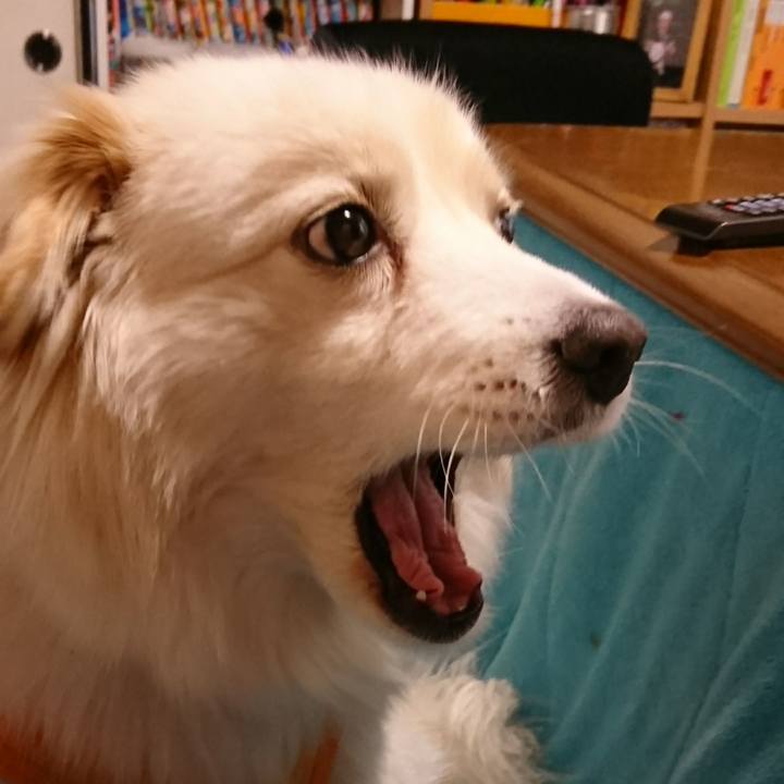 9c1b36c8 eaa8 4560 ba4a 715cd906c99d