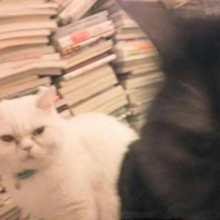 9c1c5280 1992 446b 96e5 55845634aeb2