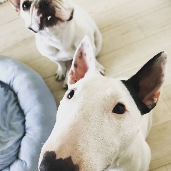 9c1c9841 63b6 4e23 bfa8 a6dca2f4a3a5