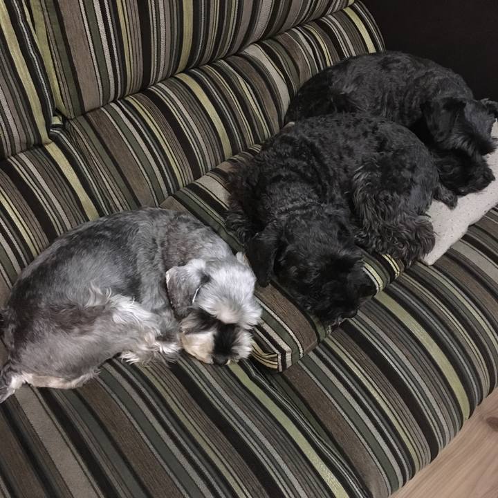 9c1ca459 5cd7 4986 9951 c171cf460304