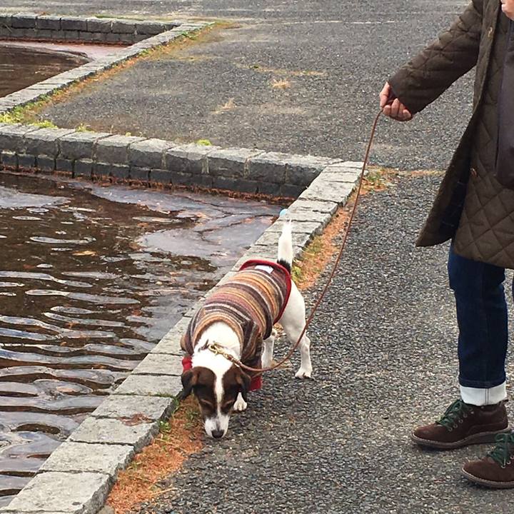 9c1cbda0 c8be 4423 93e5 e90ac1b679c4