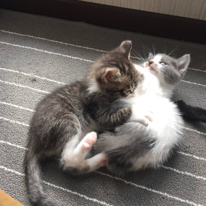 9c1cddbf 2e2d 4f63 a8be 3c8e8e39d41a