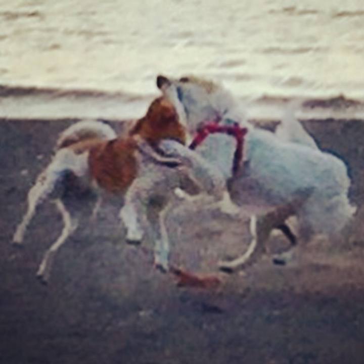 9c1d3ceb 79b1 4043 ba3d 101a4b31e777