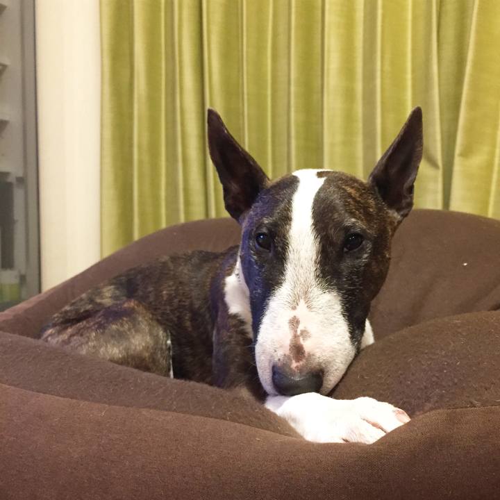 9c1e247d f360 4725 941e 9c4b39bf7bba