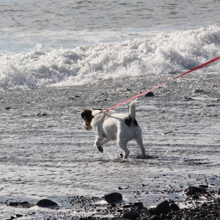 9c1e7f76 c395 4413 908b 0d87b56e012a