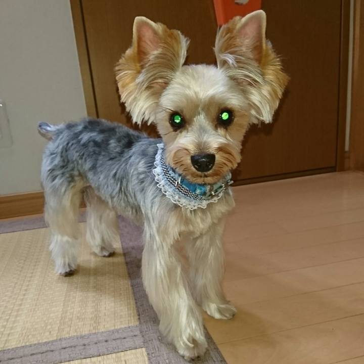 9c1ed146 219b 44c2 a7df b921d6e08b3f