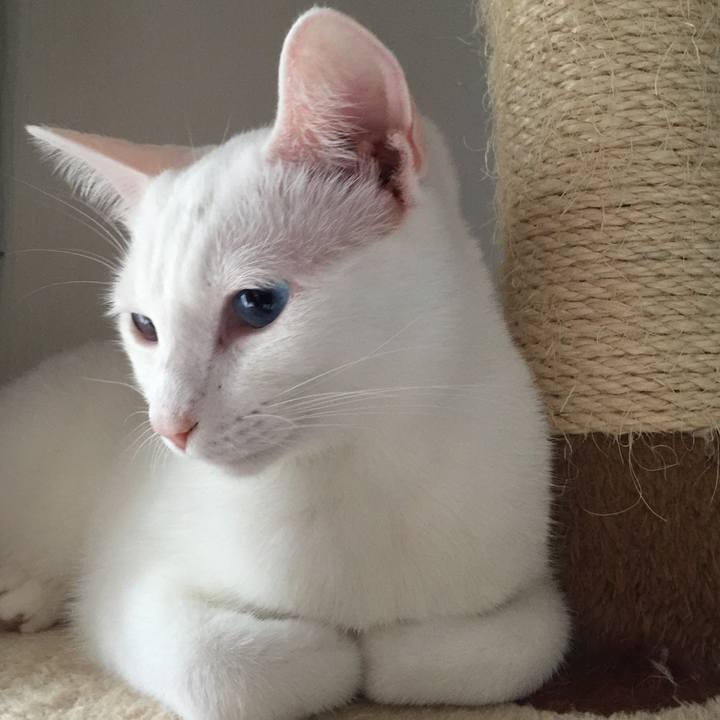 9c1efb13 d665 4c2e b123 44dd5da3f9e5