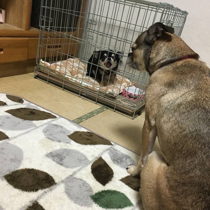 9c1f171b 7084 4eb9 9cae 29efd0cfdf29