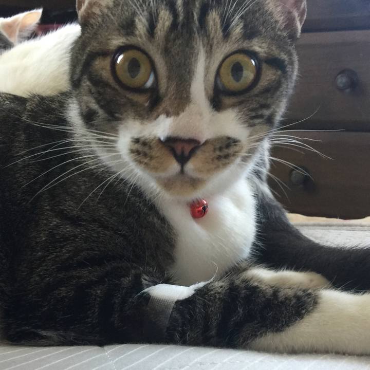 9c1f3dc9 9127 43b0 8fdf 64d0a058f5f6